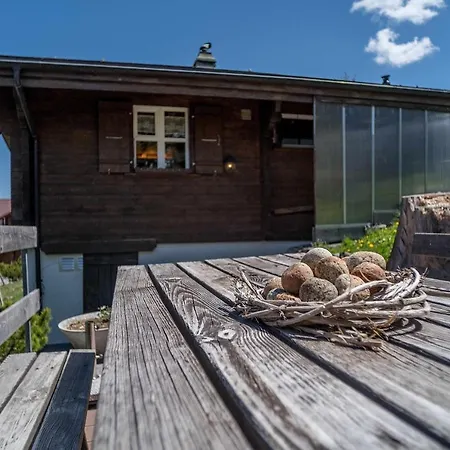 Chalet Burehüsli * Axalp